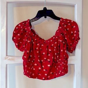 Cottage core crop style top. Never worn NWOT